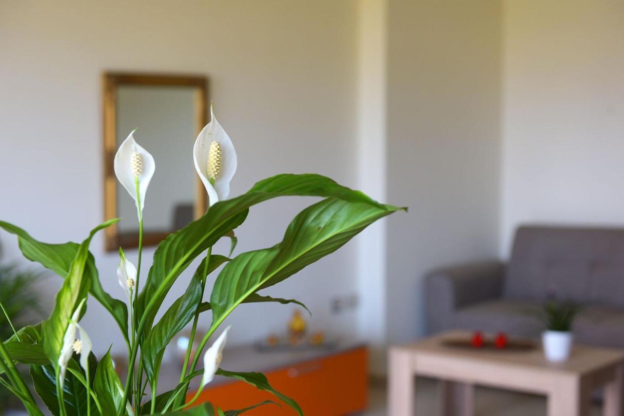 Stelia Luxury Apartments Kalavárda Eksteriør bilde